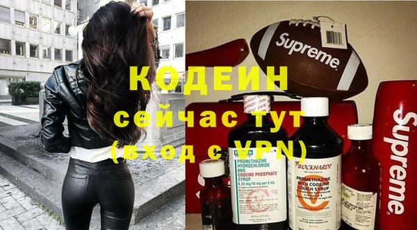 меф Вяземский