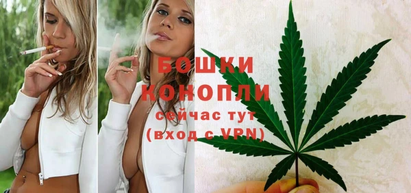 меф Вяземский