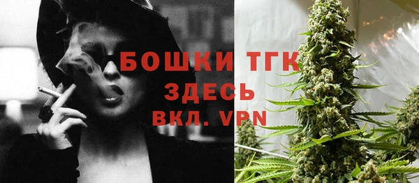 меф Вяземский