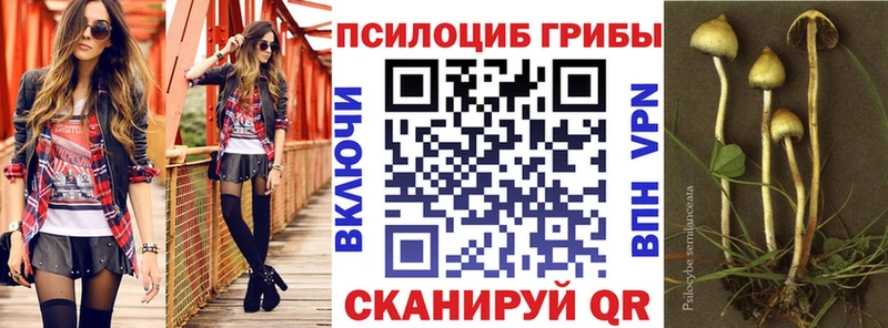 Галлюциногенные грибы GOLDEN TEACHER  магазин    Давлеканово 